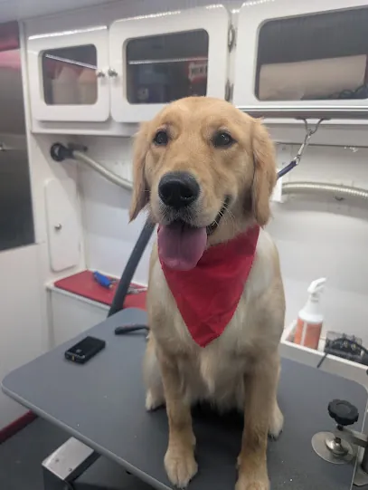 Fluffy Friends Mobile Pet Grooming — photo from their website