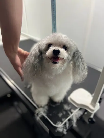 Mission Viejo Mobile Pet Grooming — photo from their website