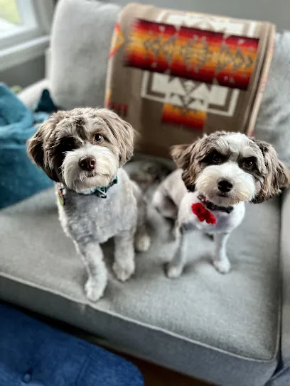 Sweetpea Mobile Pet Spa — photo from their website
