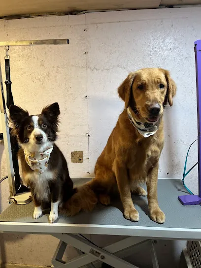 Simply K9 Mobile Dog Spa — photo from their website
