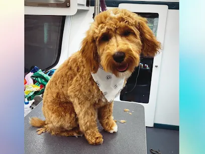 Doggy Dog World Mobile Dog Grooming — photo from their website