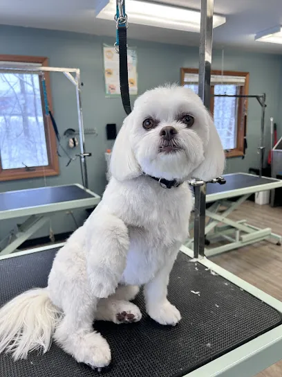 Darling Dogs Mobile Grooming LLC — photo from their website