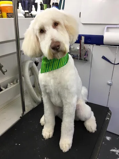 Katie's Mobile Pet Spaw — photo from their website