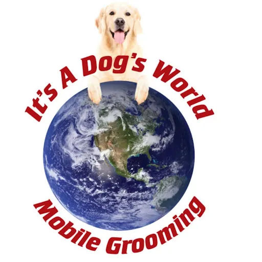 It’s a Dog’s World Mobile Grooming — business logo from Google
