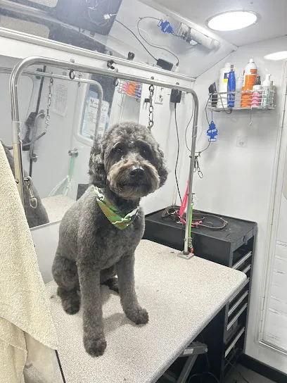Kontota Grooming of Lewisville — photo from their website
