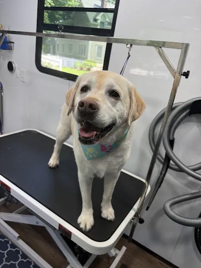 Serenity Paws Mobile Grooming — photo from their website