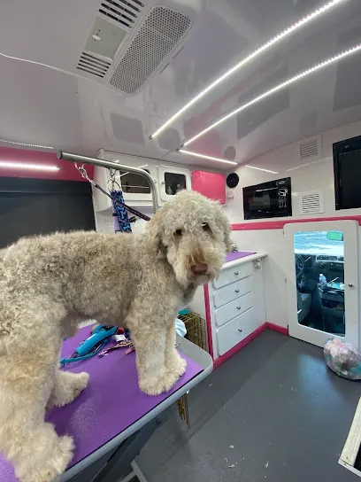 Posh Parlor Mobile Grooming — photo from their website