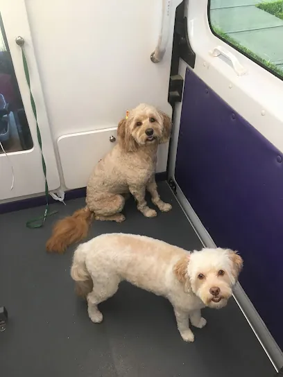 Kelly's Mobile Pet Spa — photo from their website