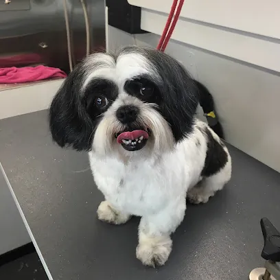 Maggie's Mobile Paw Services — photo from their website