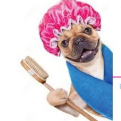 Pampered Pups Mobile Grooming — business logo from Google