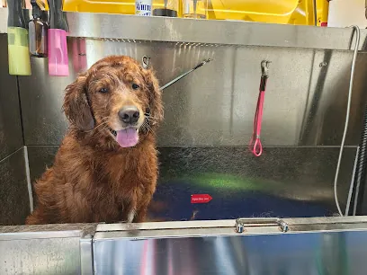 Dog Mobile Grooming — photo from their website