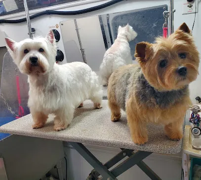 Kelly's Mobile Dog Grooming — photo from their website