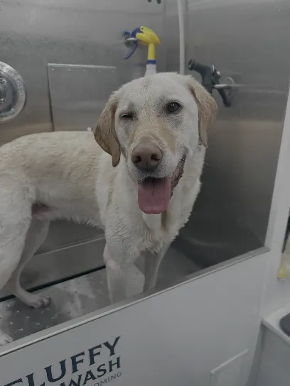 Fluffy Pet Wash Mobile Grooming Orlando — photo from their website