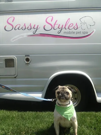 Sassy Styles Mobile Pet Spa — photo from their website