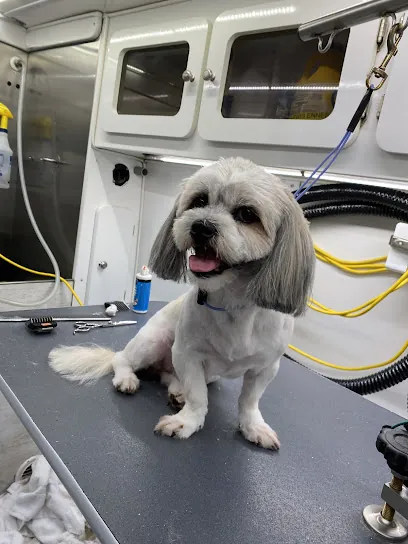 Reese’s Rainbow Mobile Pet Salon LLC — photo from their website