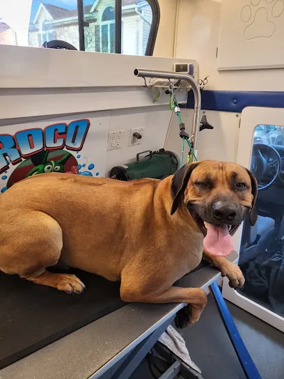 Roco Mobile Pet Spa — photo from their website