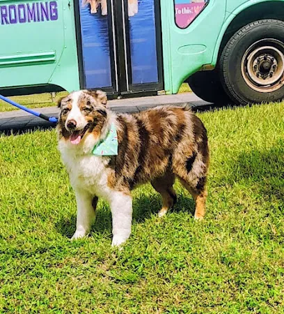 AT SUNNYVILLE MOBILE GROOMING — photo from their website