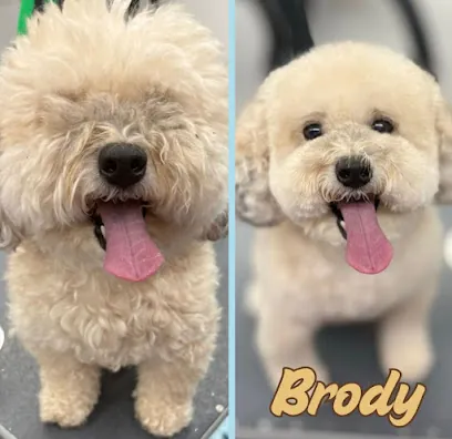 DapperTails Mobile Pet Grooming of Greater Portland — photo from their website