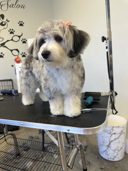 Bark and Boujee Mobile Grooming — photo from their website