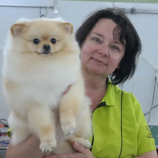 Natalia's Pet Beauty Salon, Mobile Pet Grooming — business logo from Google