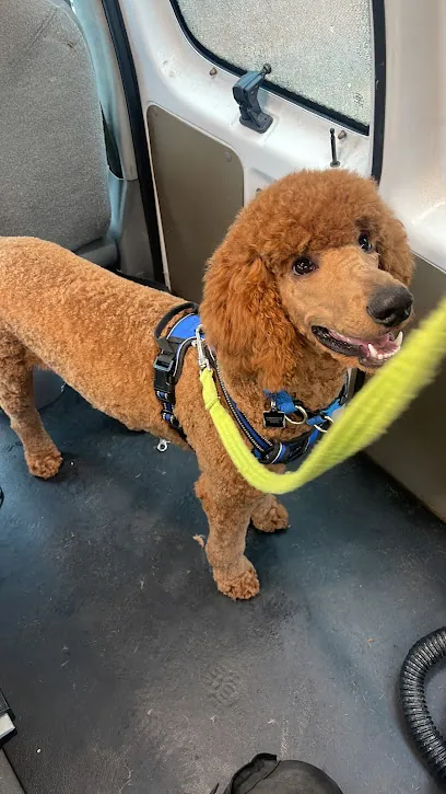 A Walk N Wash Mobile Pet Grooming — photo from their website