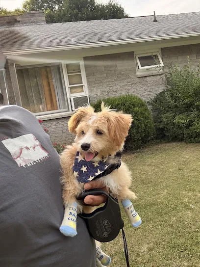 Taylor'd Tails Mobile Pet Spa, LLC — photo from their website