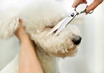 Groombulance Mobile Dog Grooming — photo from their website