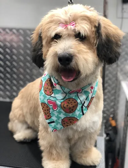 Mobile Pet Grooming Boynton Beach — photo from their website
