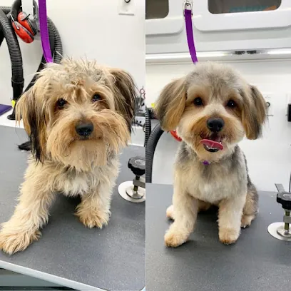 KeepPup Mobile Grooming Spa Inc. — photo from their website