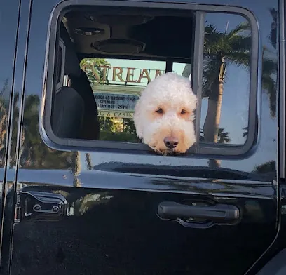 Mobile Dog Grooming Downtown Miami — photo from their website