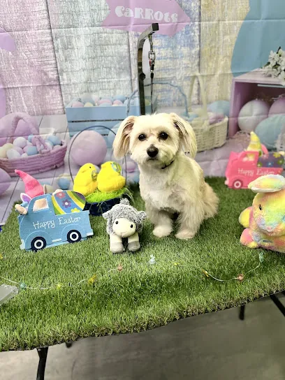 Canine Society Mobile — photo from their website