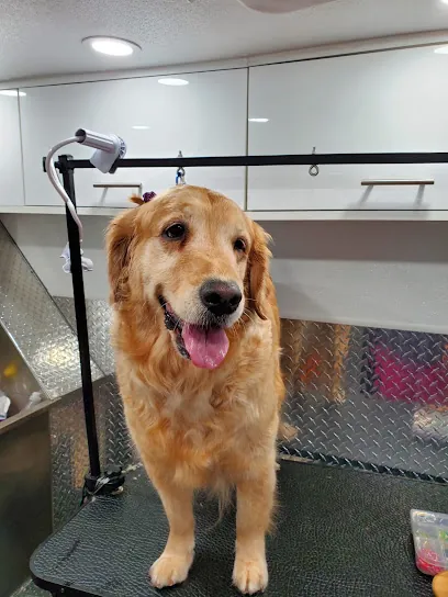 Medina's Mobile Pet Grooming Miami — photo from their website