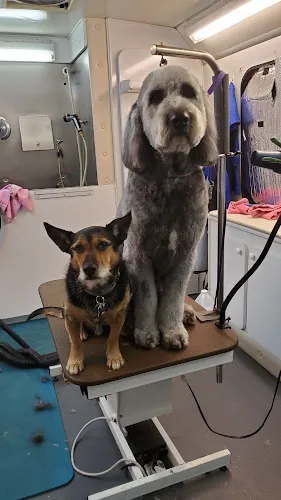 Scooby-Dos Mobile Pet Grooming — photo from Google Maps