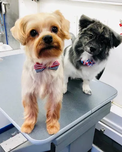 Hill Country Mobile Pet Grooming — photo from their website