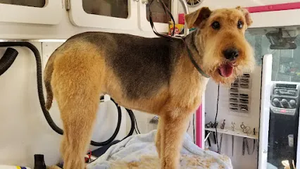 Mobile Pet Grooming — photo from their website
