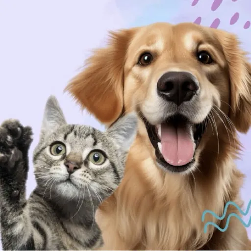 fluffy family mobile pet grooming — business logo from Google
