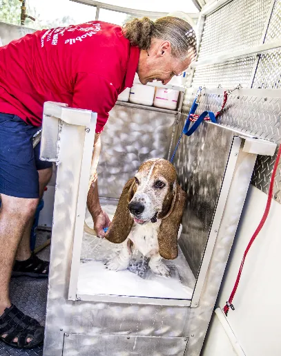 The Pooch Mobile Dog Wash — photo from their website