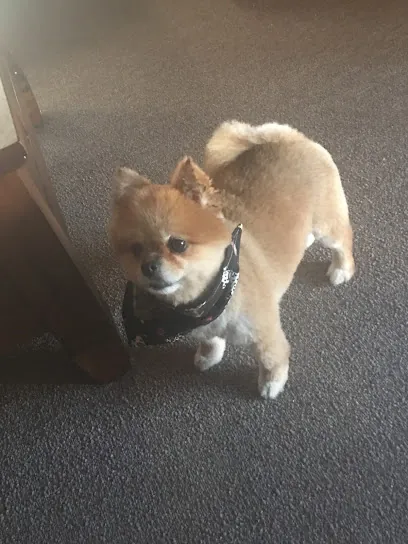 Monica’s Mobile Pet Care & Grooming — photo from their website