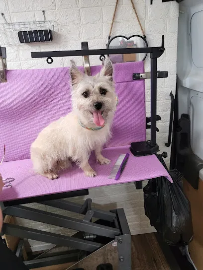 Laundromutt mobile pet grooming — photo from their website
