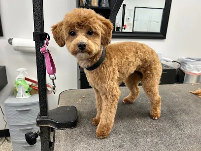 Freshcuts Dog Grooming — business logo from Google