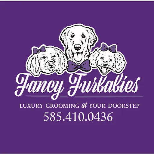 Fancy Furbabies Mobile Paw Spa LLC — business logo from Google