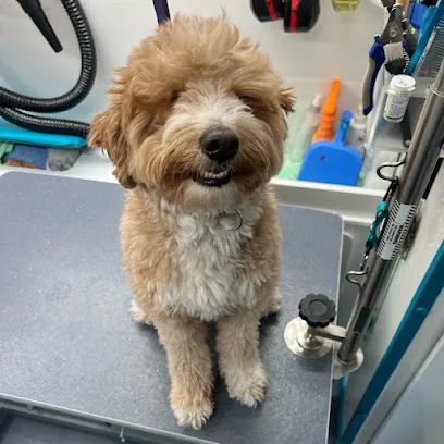 Supple Paws Mobile Grooming — photo from their website