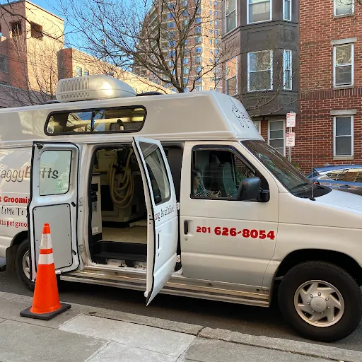 WaggyButts Mobile Pet Grooming — business logo from Google