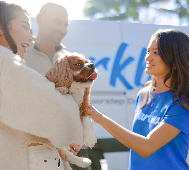 Barkbus Mobile Dog Grooming — photo from their website