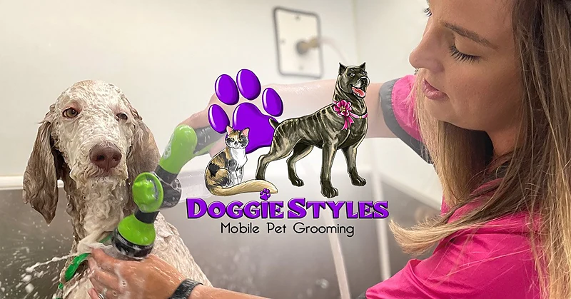 Doggie Styles Mobile Pet Grooming — photo from their website