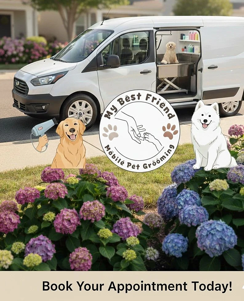 My Best Friend Mobile Pet Grooming — photo from their website