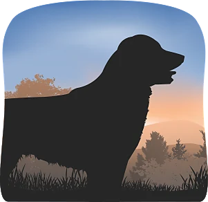 Serenity Mobile Grooming Spa LLC — business logo from Google