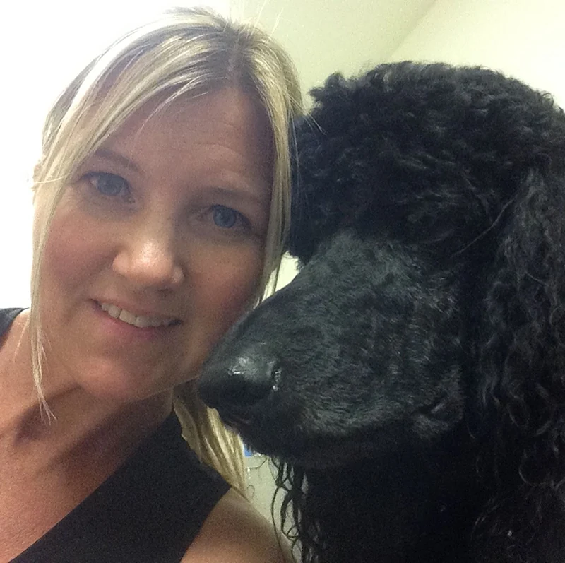 Tiffany's Pampered Pooch Mobile Grooming — photo from their website