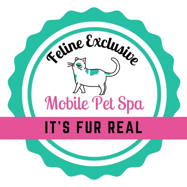 It's Fur Real Mobile Pet Spa — photo from their website