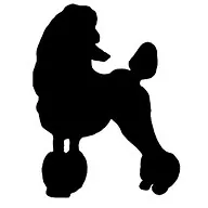 Platinum Paws Mobile Pet Grooming — business logo from their website